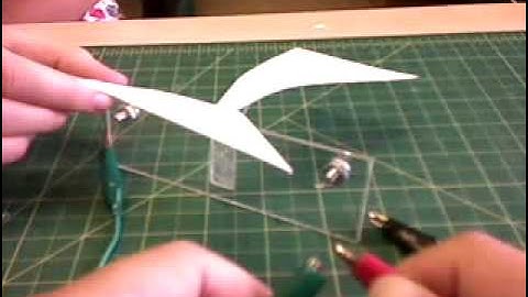 Shape Memory Alloy Wings