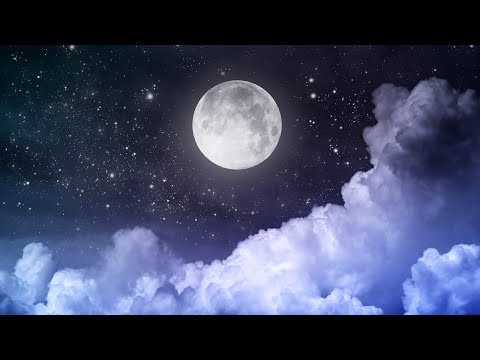 Beautiful Relaxing Music - Calm Piano Music & Guitar Music with Birds Singing