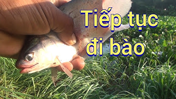 Câu cá thác lác, đưa cần thủ Sài Gòn đi câu điểm mới / Gò Công TV