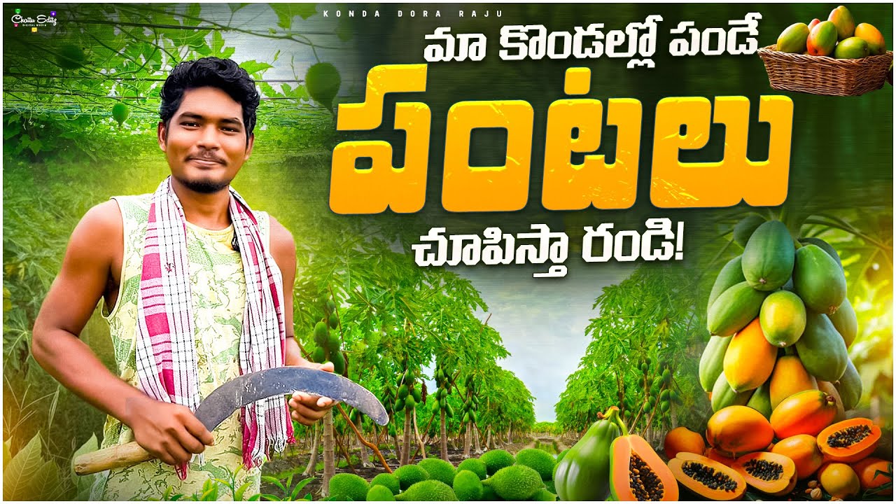 “మా కొండల్లో పండే పంటలు | Tribal Farming Crops in Hills | Organic Farming Telugu”
