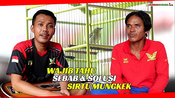 TIGA PENYEBAB SIRTU MECET BUNYI (MUNGKEK)
