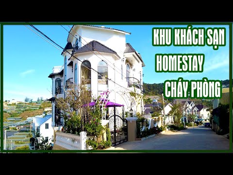 khách sạn lê vũ đà lạt Update Tình hình Đà Lạt hôm nay - Khách sạn, homestay đặt phòng nhiều cuối năm, Tô Hiến Thành về Nam Hồ