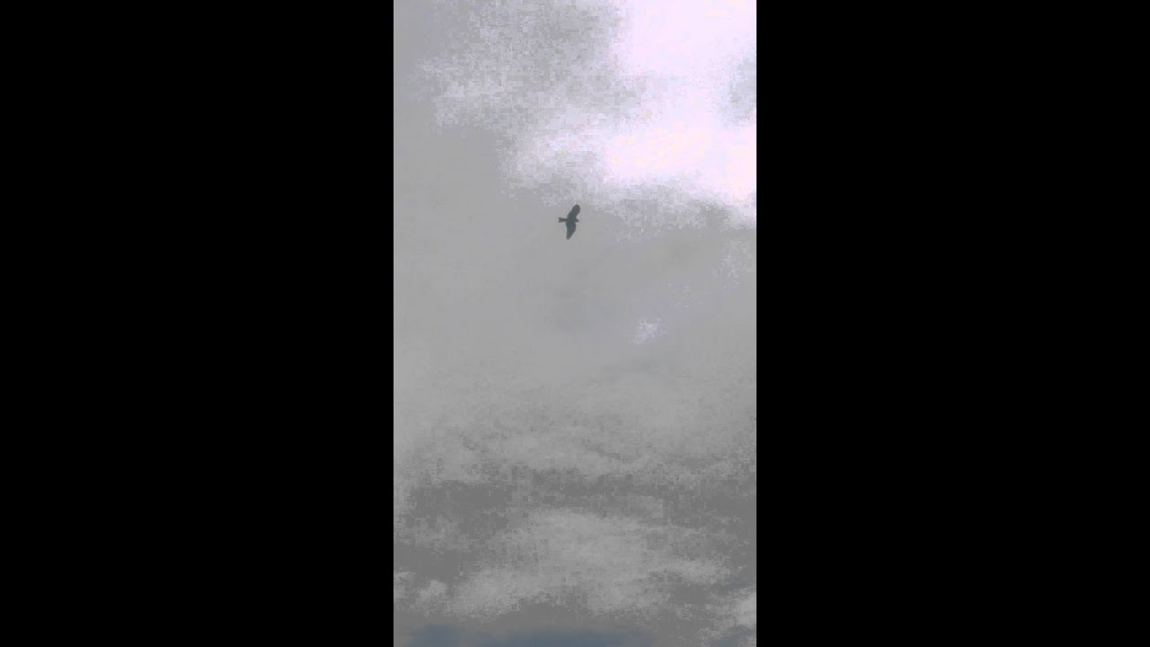 2015 10 17 飛翔2 - YouTube