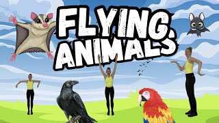 Flying Animals This Or That Kids Workout