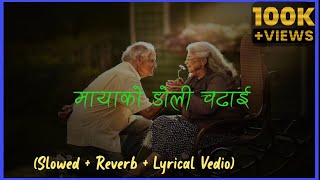 Mayako Doli Chadhai -Yash Kumar Pabita Pariyar (Slowed  Reverb Lyrical vedio)#nepalisong#mayakodoli