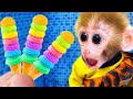 🔴Animals Home Monkey baby Bi Bon buys rainbow ice cream at the supermarket | Funny Monkey Videos