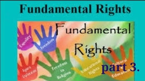 standard 7 Civics lesson no 4. Fundamental Rights part 1.