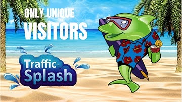 Traffic-Splash Review - Quality Hits to Your URL!