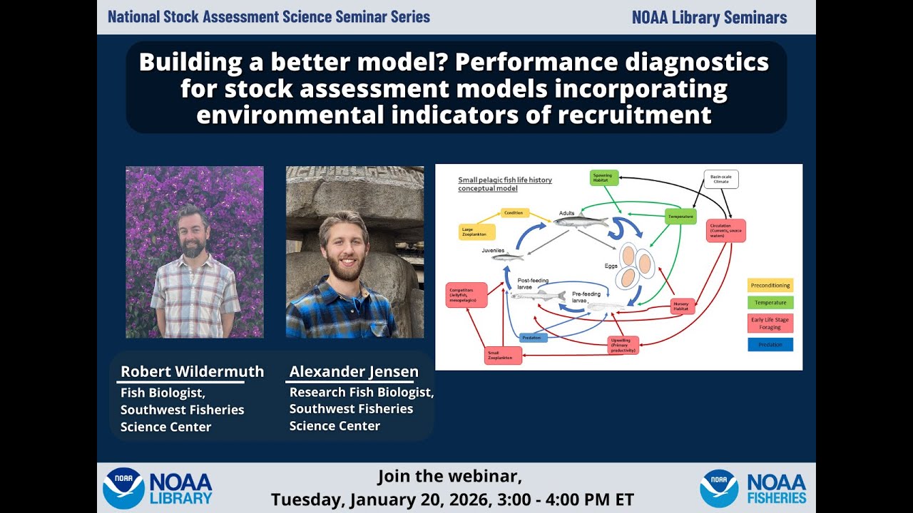 Building a better model? Performance diagnostics for stock assessment models