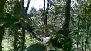 Traveling With Diabetes - Elephant Ride