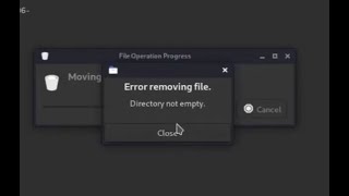 Error removing file Directory not empty