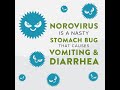 Norovirus is a nasty stomach bug