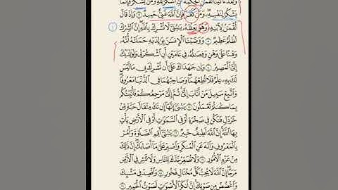 تدبر الوجه الثاني من سورة لقمان
