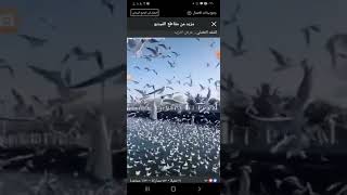 دعوتك ربي ومن لي سواك