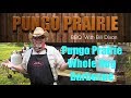 Pungo Prairie Whole Hog Barbecue