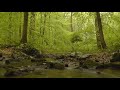 рџ ґOromo Music Oromo Instrumental Music Oromo Classical Music Sirba Afaan Oromoo New Oromo360p рџ ґOromo Music Oromo Instrumental Music Oromo Classical Music Sirba Afaan Oromoo New Oromo360p