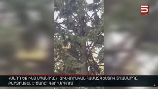 «Սաղդ եք ինձ սպանողը». զինվորական համազգեստով տղամարդը բարձրացել է ծառը Գյումրիում