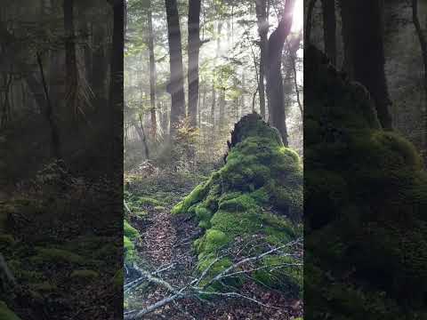 Magical light in
