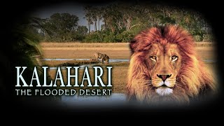Kalahari: The Flooded Desert (Full Movie in HD)
