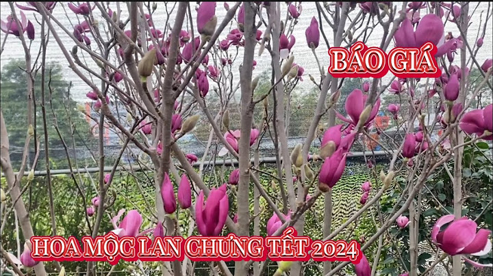 Trung bình mỗi ngày uống bao nhiêu nước