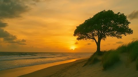 This Is the Swifties’ Secret Garden in My Mind 🌿 (Cinematic Nature Aesthetic)