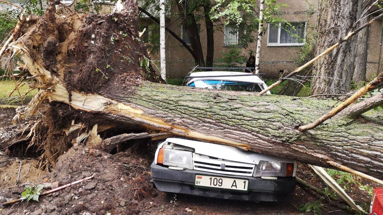 Деревья давили машины, ветер срывал крыши домов. Ураган обрушился на Беларусь