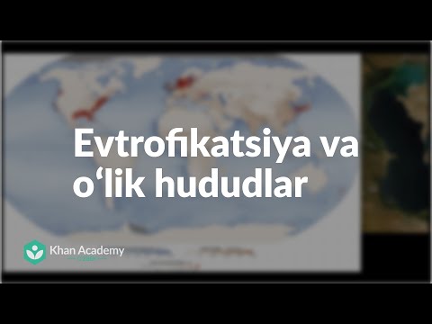 Video: Ekologiyada evtrofikatsiya nima?