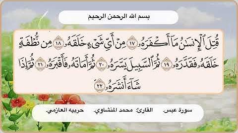 سورة عبس  17 -22