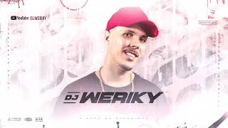 APROVEITA E DESCE A PERERECA - TIKTOK ( DJ WERIKY )