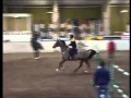 Equitation d saut d obstacles contrler les foules avec ludger beerbaum