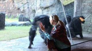 Jane Goodall visits the Houston Zoo's chimpanzees