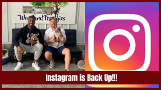 Instagram is Back and Vernon Davis Visit!