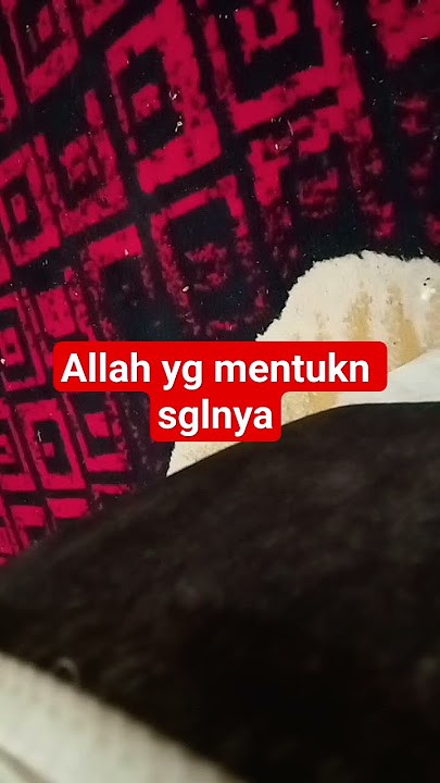 alah maha sgalanya#viral #catatanmotivasi #storywa