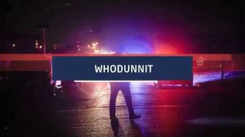 Klaus Passegger - Whodunnit