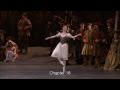 Alina Cojocaru Giselle の動画、YouTube動画。