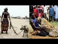 Hombres Hiena - Los Domadores de Animales Salvajes de África