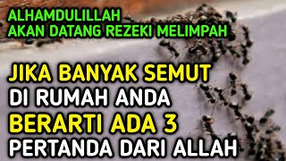 BERSYUKURLAH !! Jika Banyak Semut Di Rumahmu, Jangan Sampai Di Bunuh, Ada 3 Pertanda Ini Dari Allah
