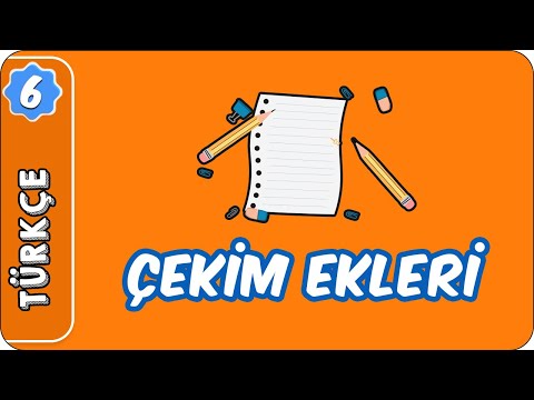 Çekim Ekleri |  6. Sınıf Türkçe evokul Kampı