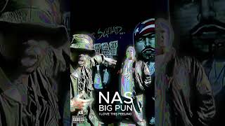 NAS ft. BIG PUN - I LOVE THIS FEELING (REMIX) Produced by Champion Sound #nas #bigpun #terrorsquad