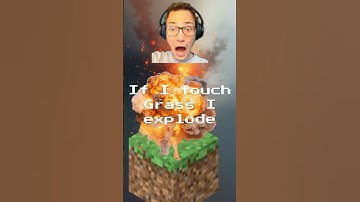 If I touch grass I explode  #minecraft