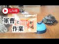 【初見さん大歓迎】新商品の袋詰めするよ！イベントまであと11日！