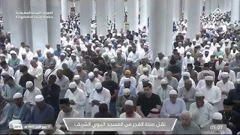 صلاة الفجر المسجد النبوي الشيخ محمد برهجي | الثلاثاء 17 ربيع الأول 1447هـ سورة فصلت