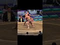 火雷VS若雅！大相撲名古屋場所2026年7月