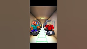 Minecraft This Might Be Our Last Flight 💀