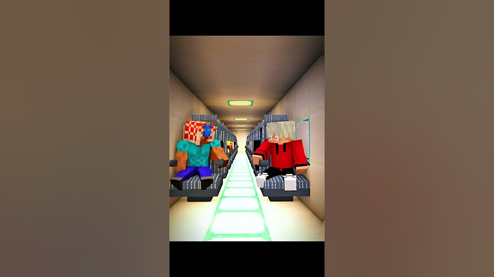Minecraft This Might Be Our Last Flight 💀