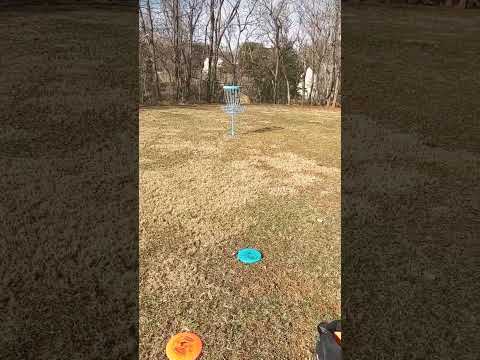 Disc Golf Practice
