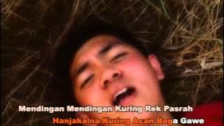 Foudy 5Warna   Lelesaheun HQ