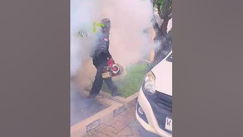 Fogging Gresik  081331000710 #fogginggresik #gresikfogging #foggingcermegresik #foggingdriyorejo
