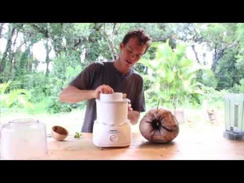 Coconut Ice Cream