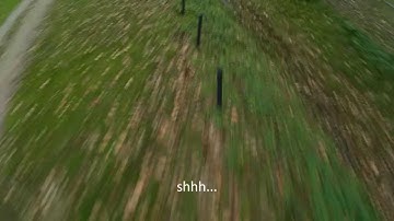 3D Robotics IRIS crashflight